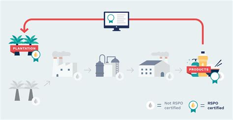 Certification makes palm oil pricier, so why aren’t producers benefiting from it?