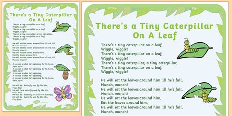 Tiny Caterpillar Rhyme Poster - minibeasts, poems, poetry, poem