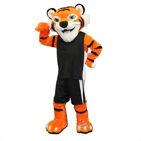 School Male Tiger Mascot Costume