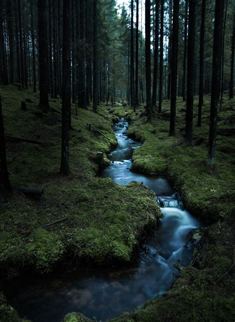 dark woods creek | Landscape photography, Nature photography, Nature aesthetic