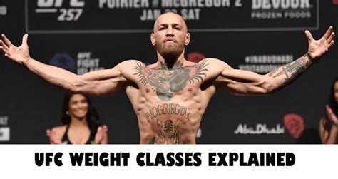 UFC Weight Classes Explained - Sidekick Boxing