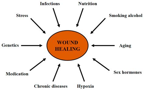 Life | Free Full-Text | Cutaneous Wound Healing: An Update from ...