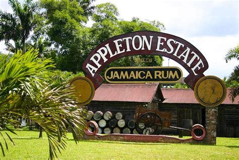 Appleton Estate Rum Tour | Falmouth Montego Bay Ocho Rios Shore ...