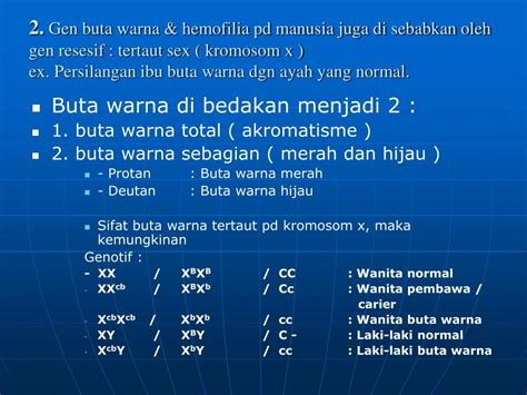 PPT - PENENTUAN JENIS KELAMIN PowerPoint Presentation, free download ...