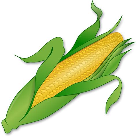 free clipart corn - Clip Art Library