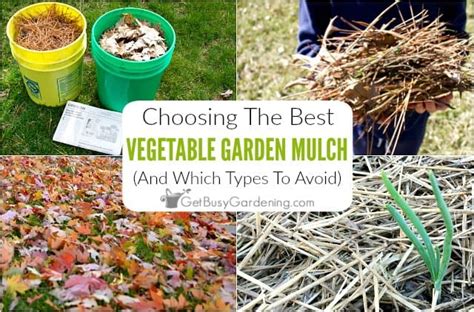 9 Best Mulches For Your Vegetable Garden Beds - Get Busy Gardening