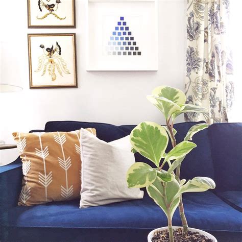 LaurInteriors — Navy velvet sofa is as soft and cozy as it is...