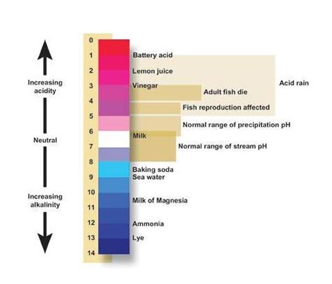 How to Calculate pH: Explanation, Review, and Examples