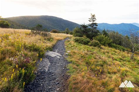 Roan Mountain hiking: Roan Highlands and Appalachian Trail