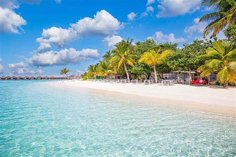 Maldives Island Beach. Tropical Photograph by Levente Bodo - Fine Art America