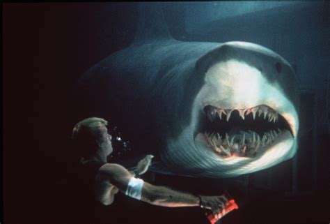 'Shark Week 2020': The Best Shark Movies That Aren't 'Jaws'