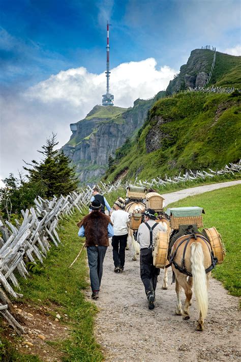 Rigi-Kulm Hotel - A Sunrise To Melt Your Eyes