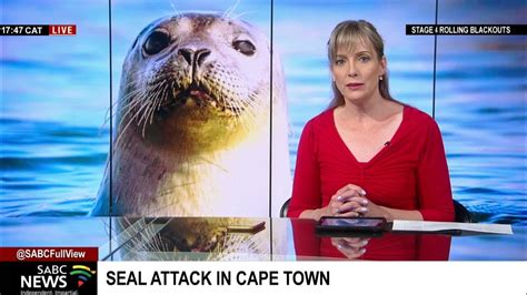 Seal attack on a beach in Cape Town: Brett Glasby - YouTube