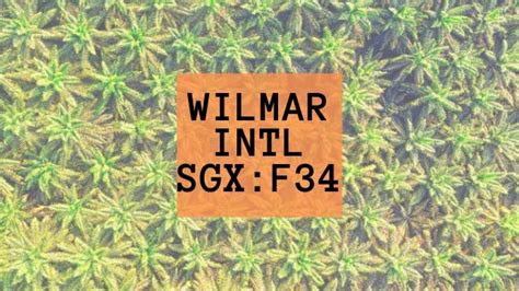 Can Wilmar International Sustain Its Growth in Future?