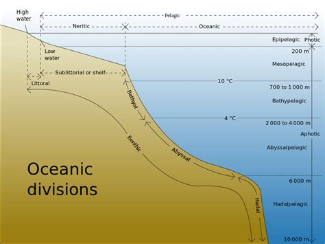 Characteristics - Ocean Biomes