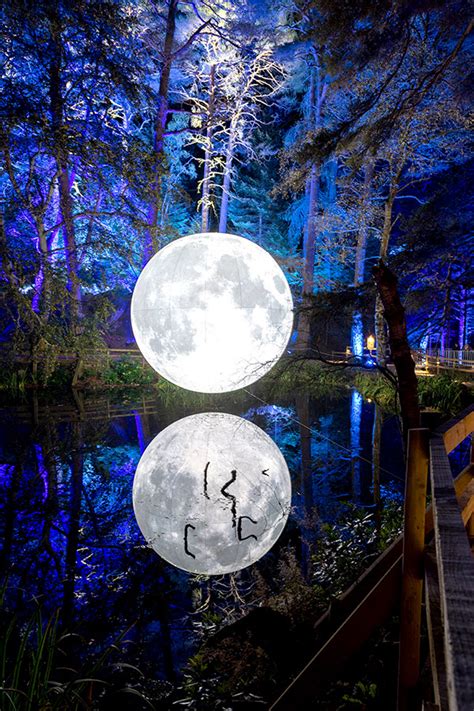 The Enchanted Forest, Pitlochry, Perthshire | Artmag | All The Arts In ...