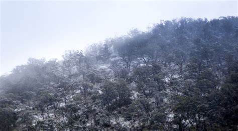 Snowy mountains australia Stock Photos, Royalty Free Snowy mountains australia Images ...