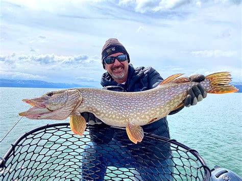 Flathead Lake Fishing in Montana - Western Timberline Outfitters