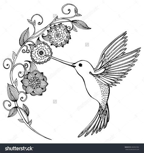 Hummingbird clipart nectar, Hummingbird nectar Transparent FREE for ...