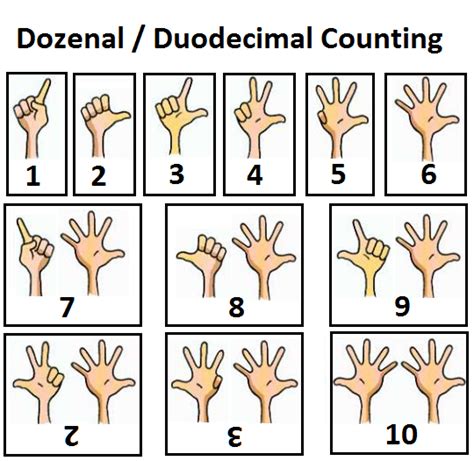 Dozenal / Duodecimal system counting using fingers | Writing tips ...