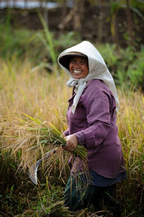 Status of Agriculture in Nepal - Nepal Database