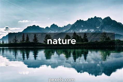 nature · Pexels