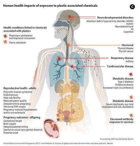 Human exposure to microplastic and nanoplastic particles C… | Flickr