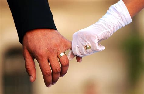 Wedding Couple Holding Hands Stock Image - Image of nature, male: 19933123