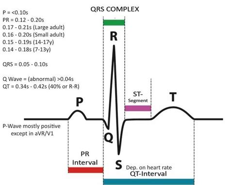 qrs complex ekg duration | Pr interval, Nurse study notes, Medical school essentials