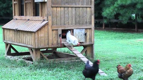 Automatic Chicken Coop Door - YouTube