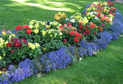 colorful flowers line the edge of a long row of green grass in a park ...