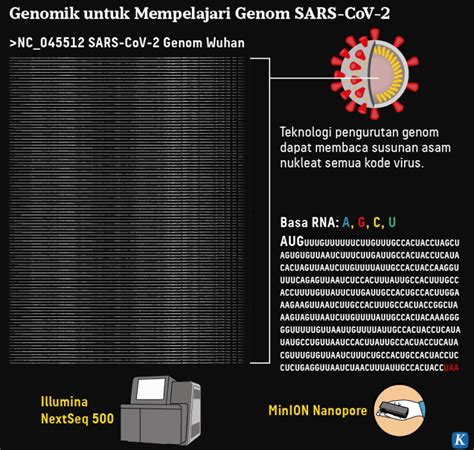 Mutasi Virus Penyebab Covid-19 dan Masa Depan Manusia