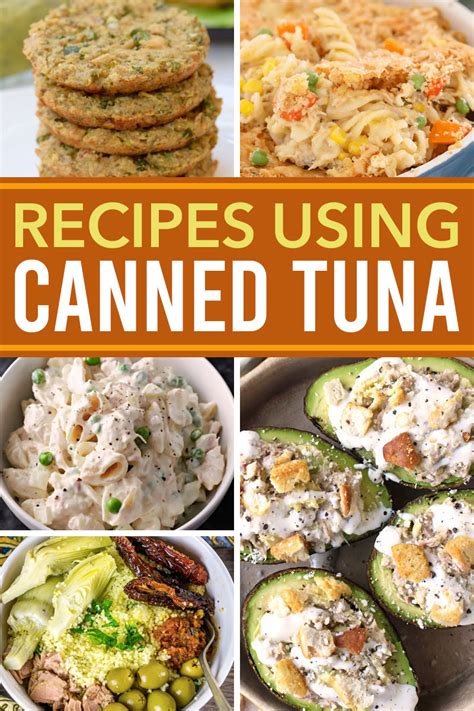 Easy Canned Albacore Tuna Recipes - Home Alqu