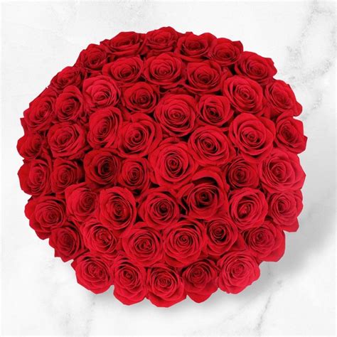 Red Roses (50 Stems) - Interflora