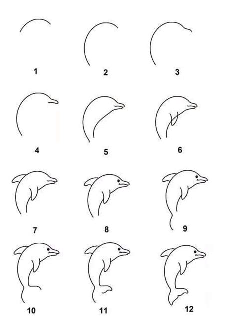 dolphin drawing easy step by step - At The Big Blook Image Library