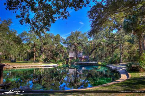 Juniper Springs Florida Blue Water | Royal Stock Photo