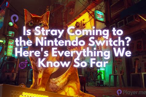 Is Stray Coming to the Nintendo Switch?