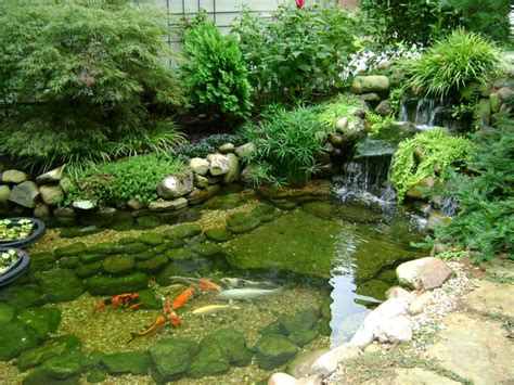 Koi Ponds Without Being Formal Koi Ponds Fish Ponds Backyard, Outdoor ...