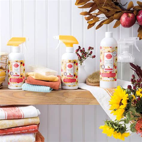 Scentsy 2023 Fall Winter Catalog | Incandescent.Scentsy.us