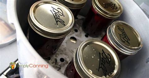 Canning Beets – Plain beets for the dinner table. Step by step guide!