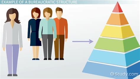 Bureaucratic Structure in an Organization: Definition & Explanation ...