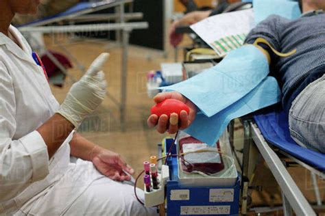 Person donating blood, cropped - Stock Photo - Dissolve