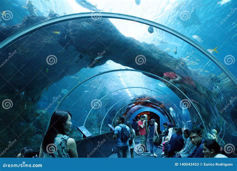 Aquarium Tunnel, SEA Singapore Editorial Stock Photo - Image of life ...