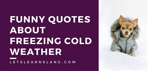 100 Funny Quotes About Freezing Weather Will Get You Prepared - Lets ...