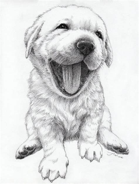 Custom Portrait Pet Portrait Drawingdog Cat. Etc - Etsy | Realistic animal drawings, Pets ...