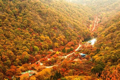 An Ultimate Guide to Autumn in Korea: Fall Foliage Forecast 2020