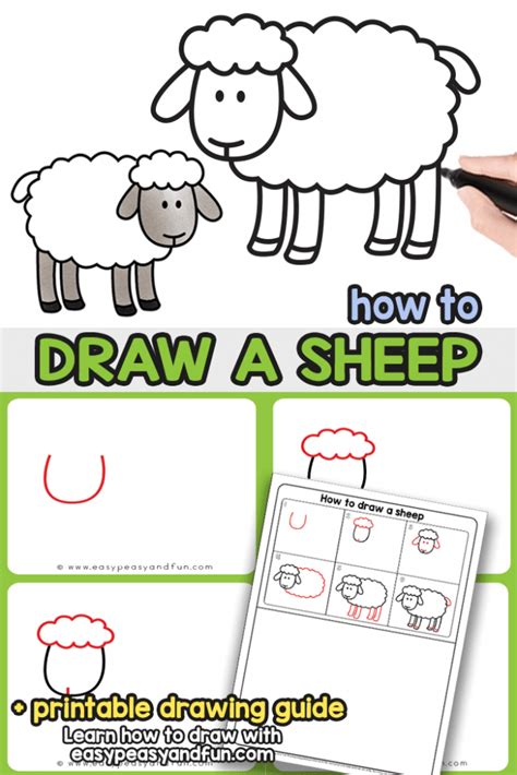 How to Draw a Sheep - Step by Step Sheep Drawing Tutorial - Easy Peasy and Fun