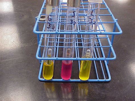 Glucose & Sucrose Fermentation: Carbon Dioxide Production Lab Answers | SchoolWorkHelper