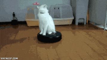 Roomba Ca GIFs - Find & Share on GIPHY