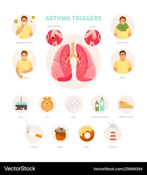 Asthma triggers Royalty Free Vector Image - VectorStock